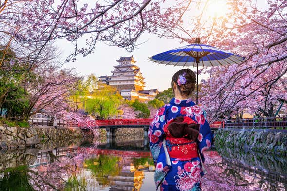 Visita guiada por el Castillo de Himeji