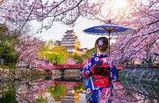 Visita guiada por el Castillo de Himeji