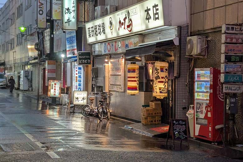 Recorreremos las calles de Nagarekawa por la noche