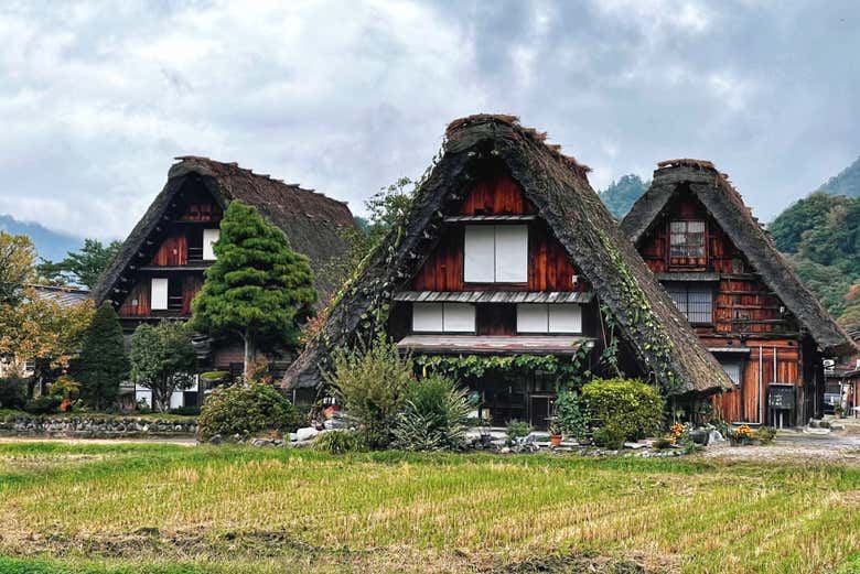 Casas tradicionales de Shirakawago