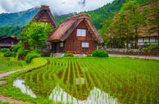 Tour por Kanazawa y Shirakawago con guía