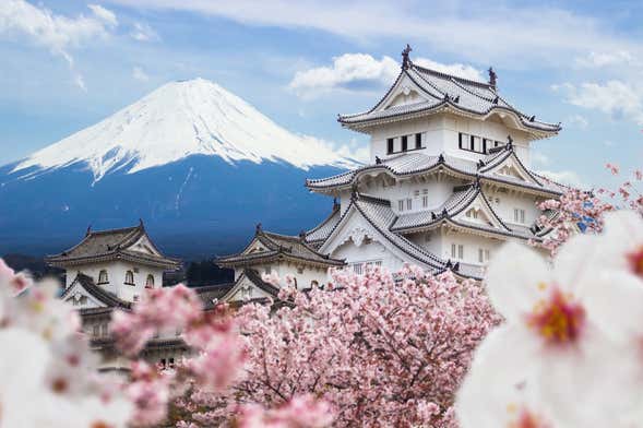 Excursión privada a Himeji y Kobe