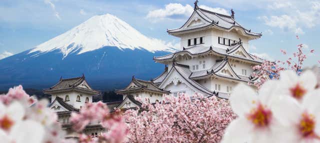 Excursión privada a Himeji y Kobe