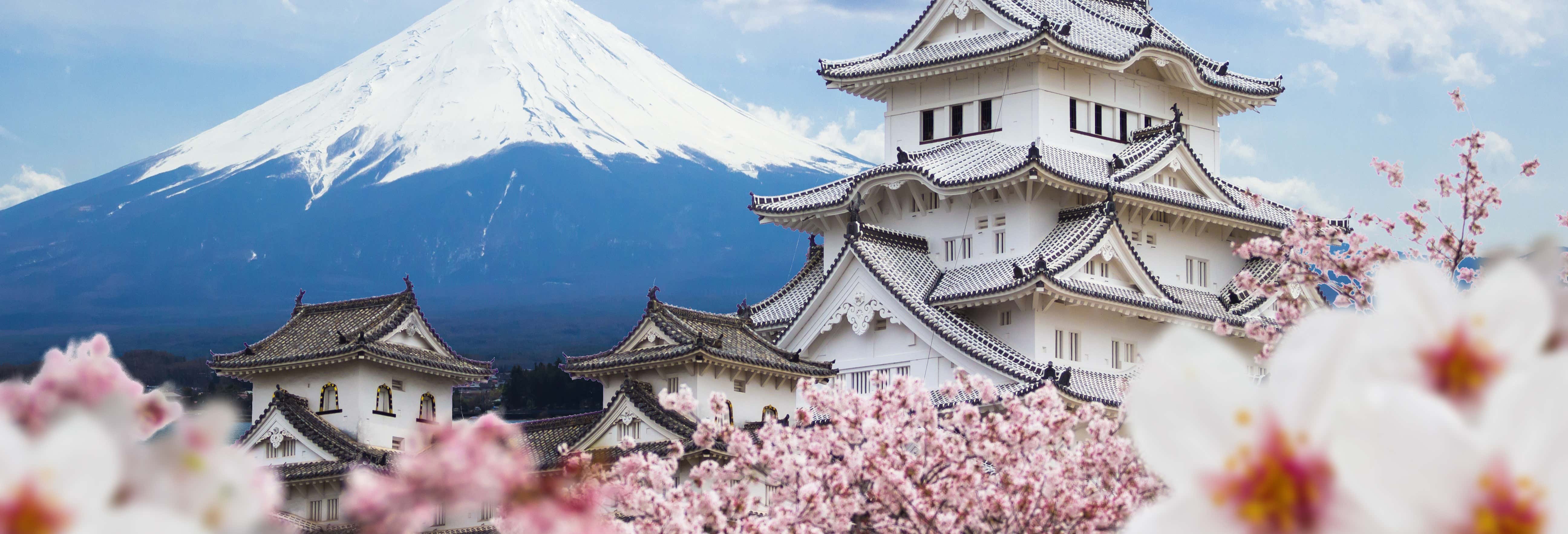 Escursioni di un giorno a Kyoto