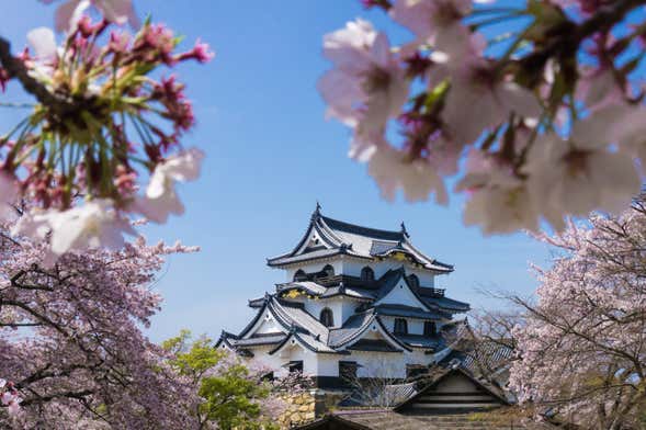 Excursión privada a Osaka