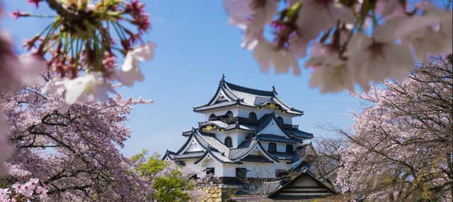 Excursión privada a Osaka