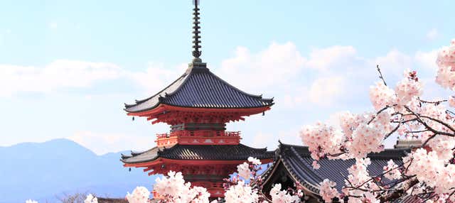 Escursione a Osaka, Nara e al Fushimi Inari