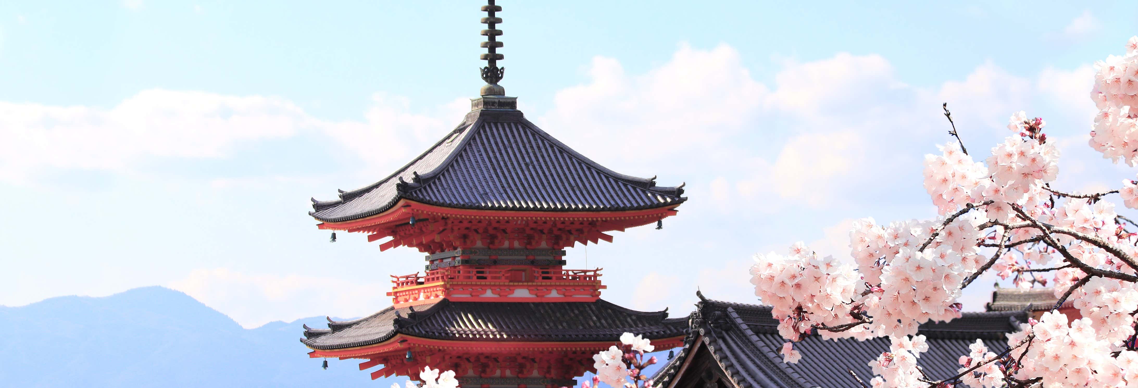 Excursiones de un día en Kioto