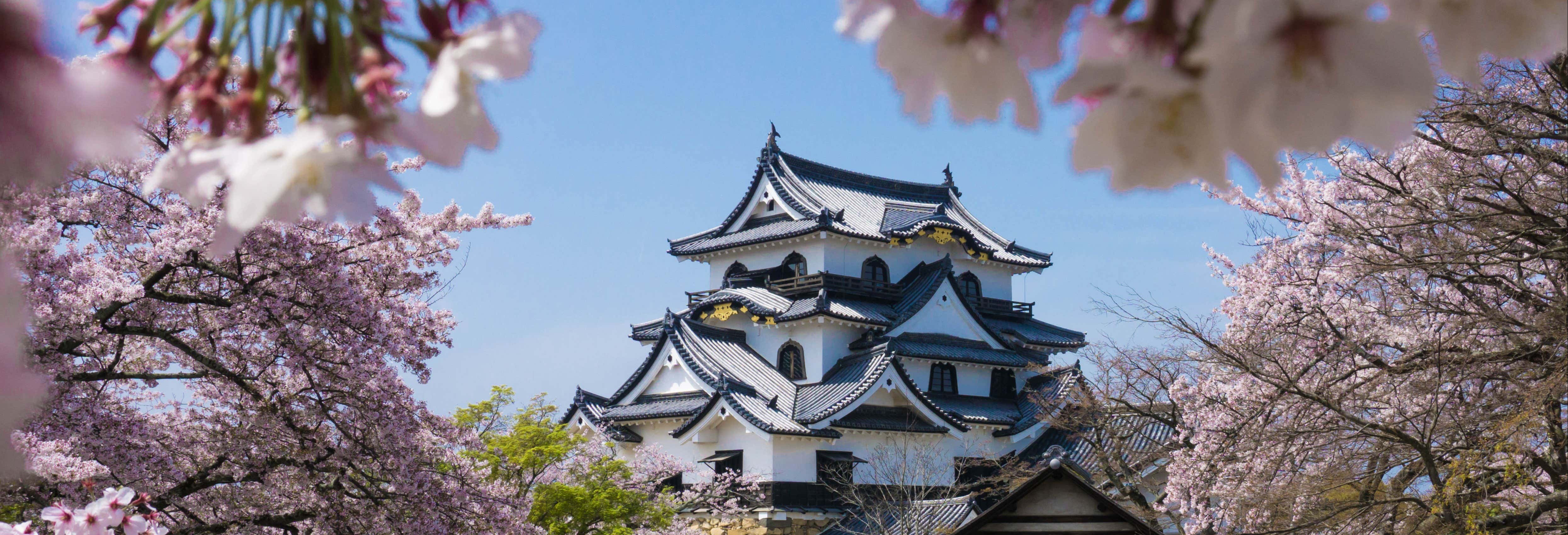 Excursiones de un día en Kioto