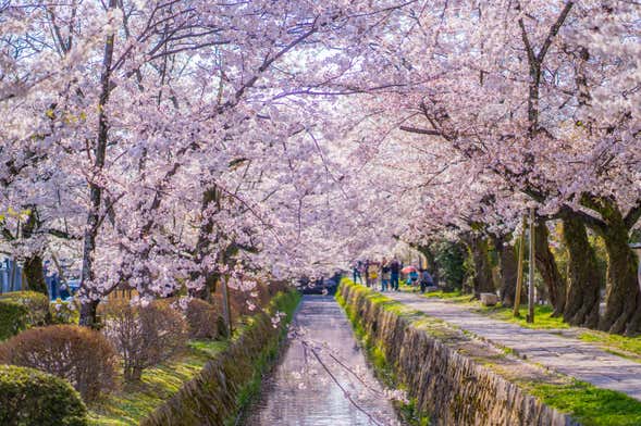 Free tour por Nanzen-ji y el Camino del Filósofo