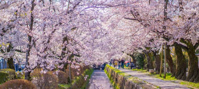 Free tour por Nanzen-ji y el Camino del Filósofo