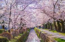 Free tour por Nanzen-ji y el Camino del Filósofo