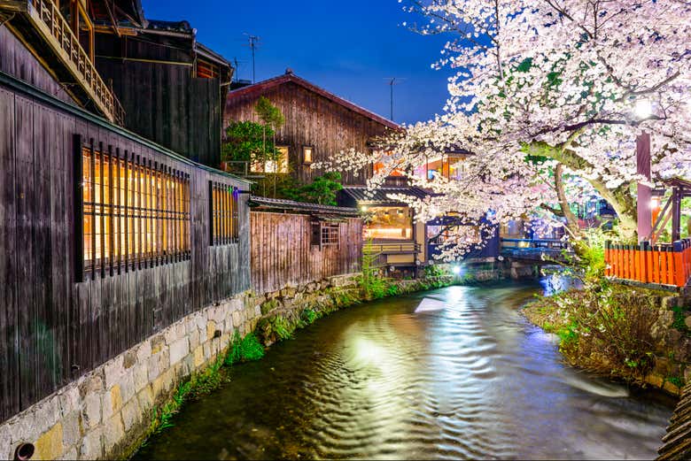 Um trecho do rio Shirakawa