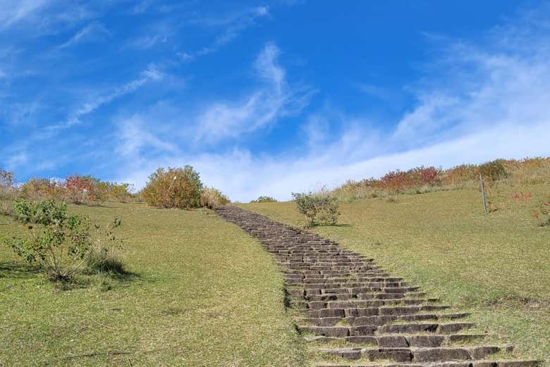 Prêt pour cette excursion ?