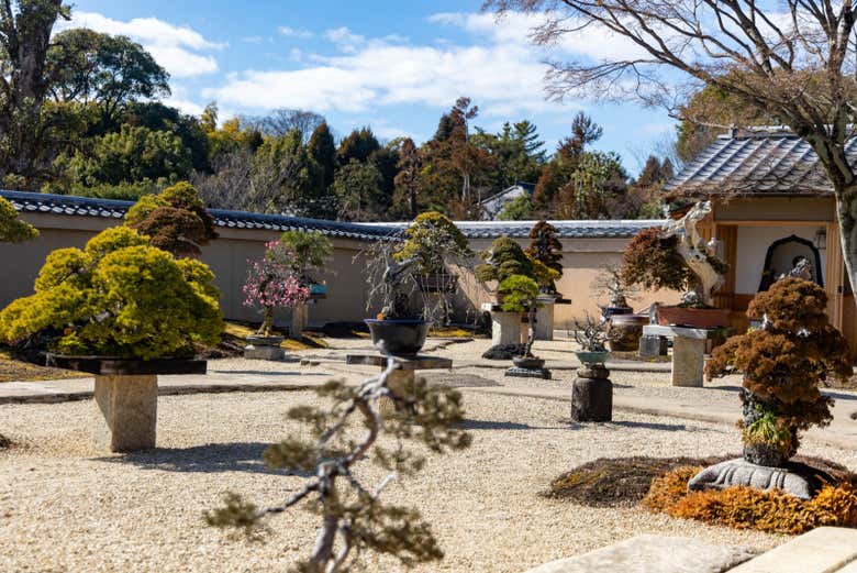 Baladez-vous dans les jardins de Daitoku-ji