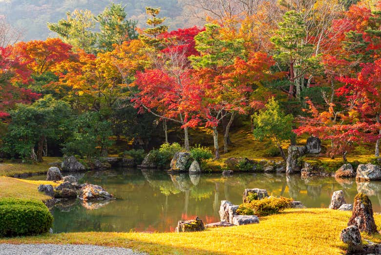 Jardins du temple Tenryu-ji