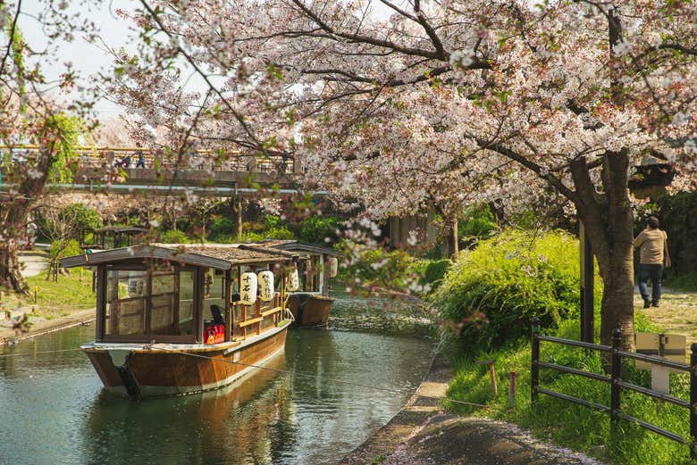 Enjoy a peaceful boat ride in the historic canals of Fushimi