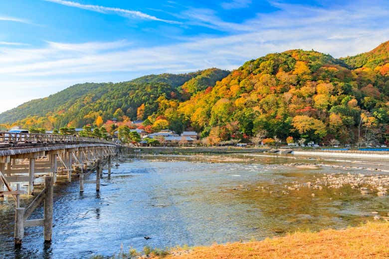 Contemplez de magnifiques paysages