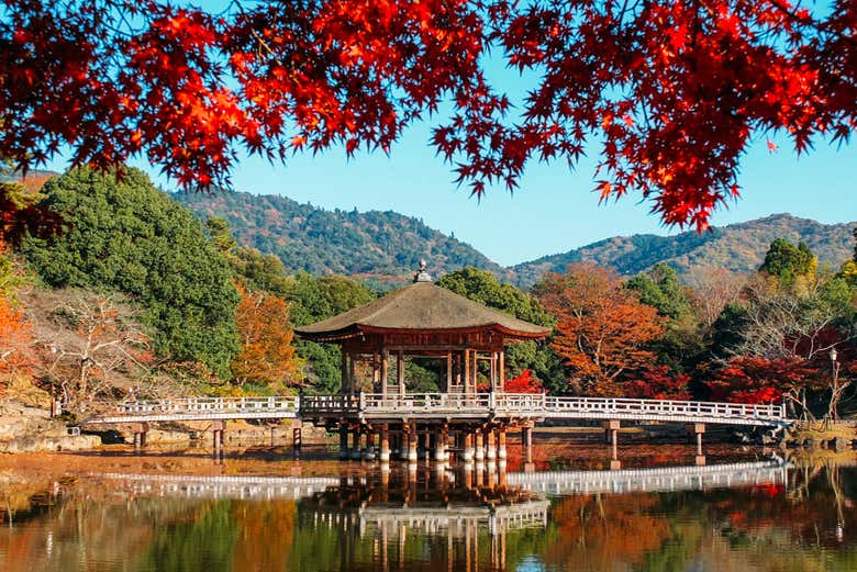Parque de Nara