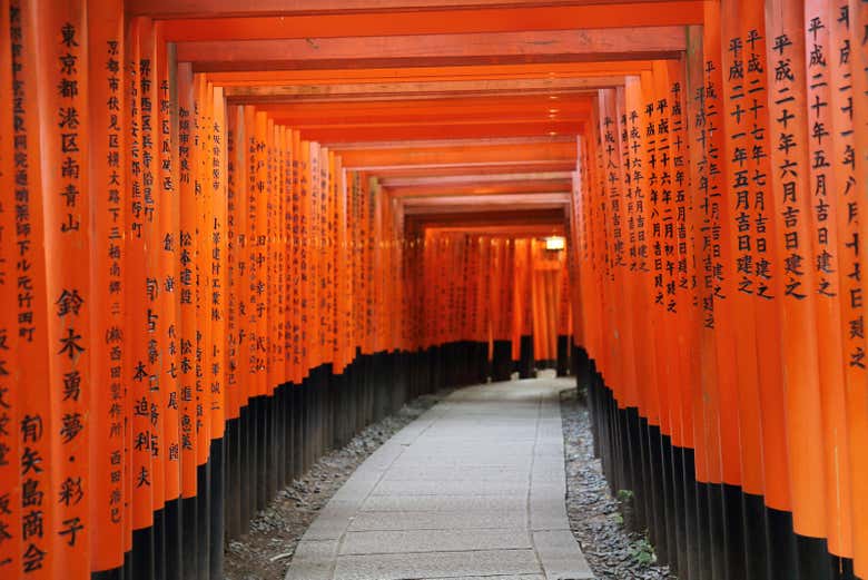 Portails Torii rouges à Fushimi Inari Taisha
