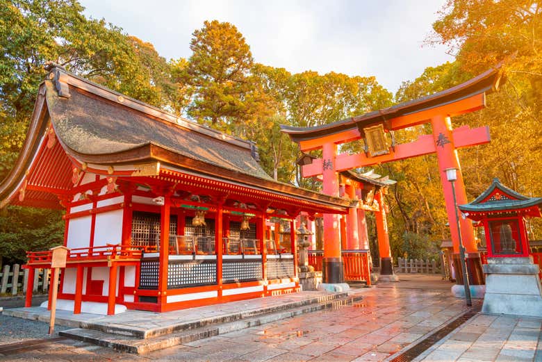 Explorando el santuario Fushimi Inari-Taisha
