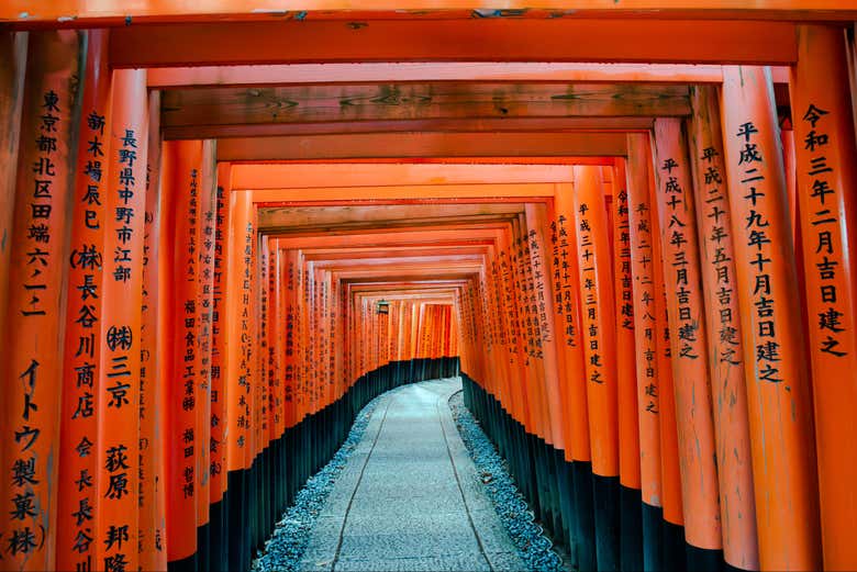 Recorriendo el sendero de los mil torii