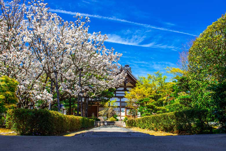 Vista sul tempio Tenryuji 