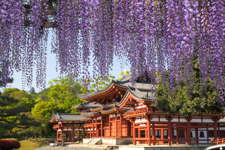 Templo Byodoin