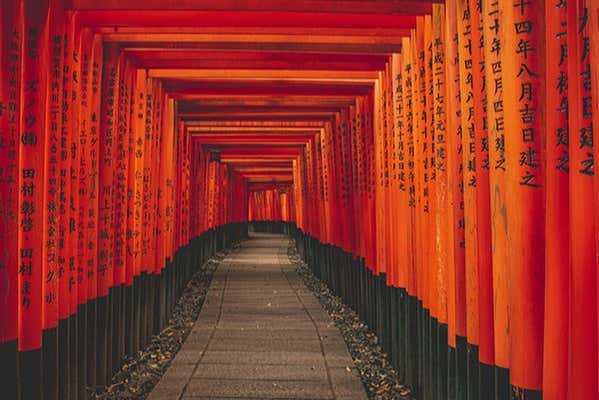 Torii del santuario Fushimi Inari Taisha