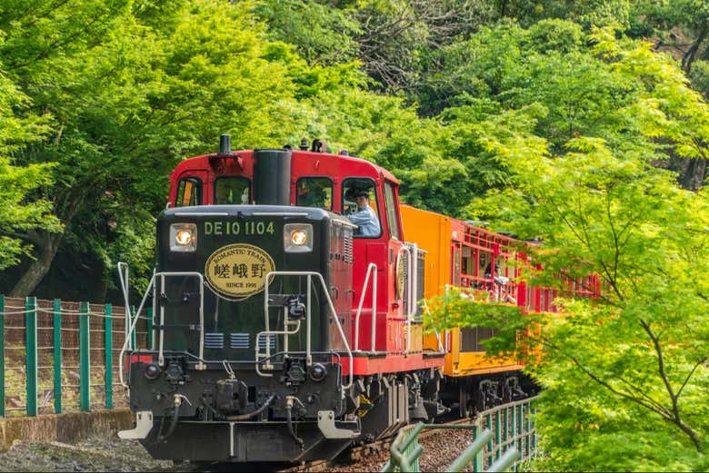 Une végétation luxuriante le long du trajet