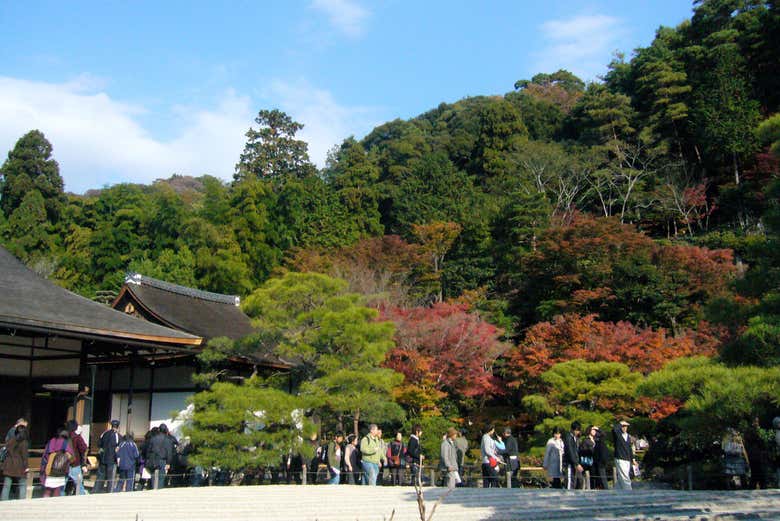 Vegetazione di Ginkaku-ji