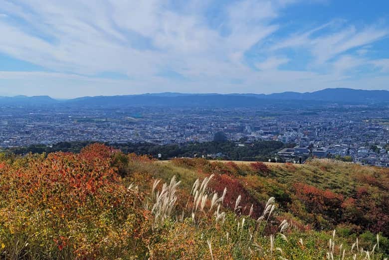 Vue panoramique sur Nara