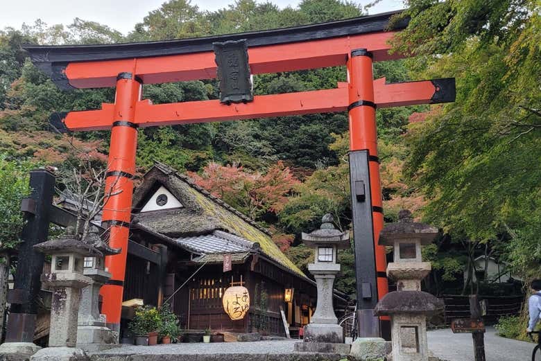 Contemplez les portails typiques du Japon