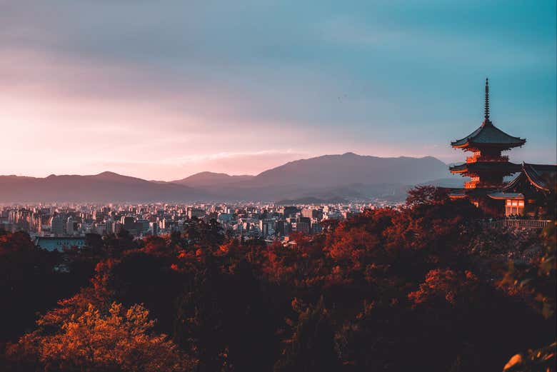 Admirez les vues panoramiques