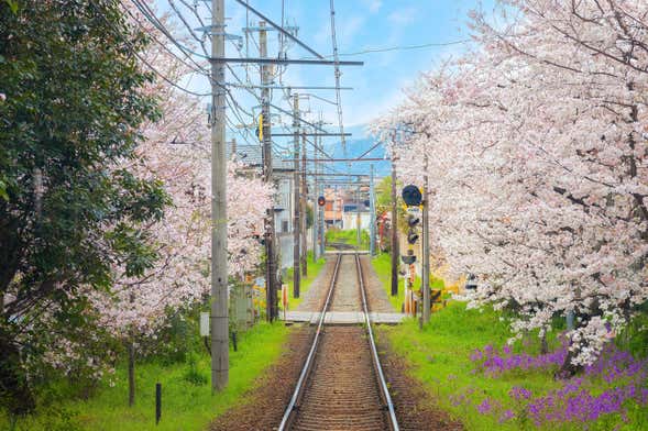 Haruka Express, tren entre el Aeropuerto de Kansai y Kioto u Osaka
