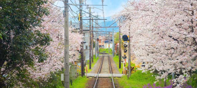 Haruka Express, tren entre el Aeropuerto de Kansai y Kioto u Osaka