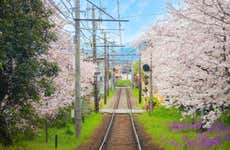 Haruka Express Train Between Kansai Airport and Kyoto or Osaka