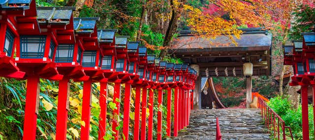 Tour privato di Kyoto in auto