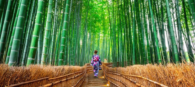 Visita guiada por Arashiyama y su bosque de bambú