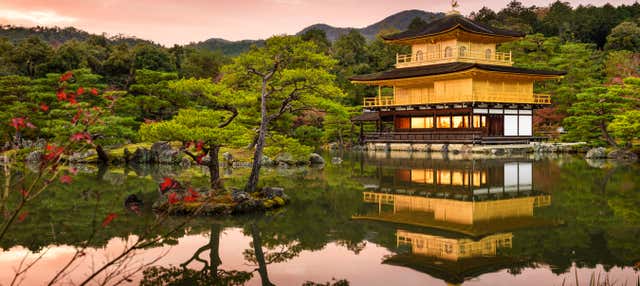 Excursión privada a Kioto
