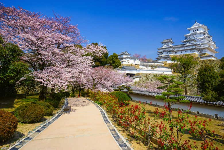 Jardines del castillo de Himeji