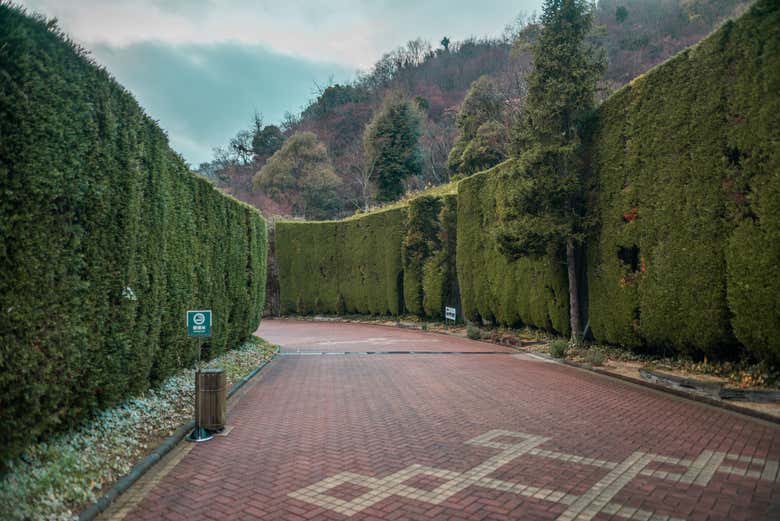 Conoceremos todos los senderos del jardín