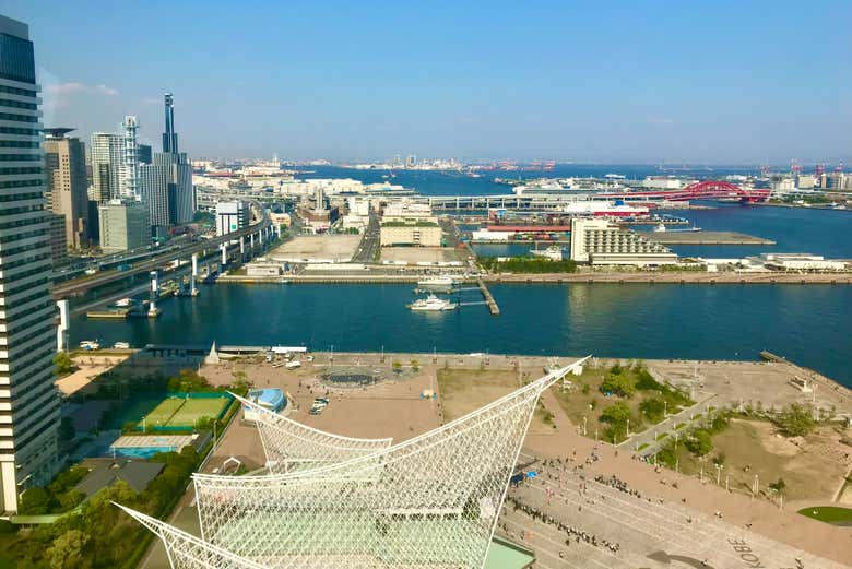 Conoceremos la zona del puerto
