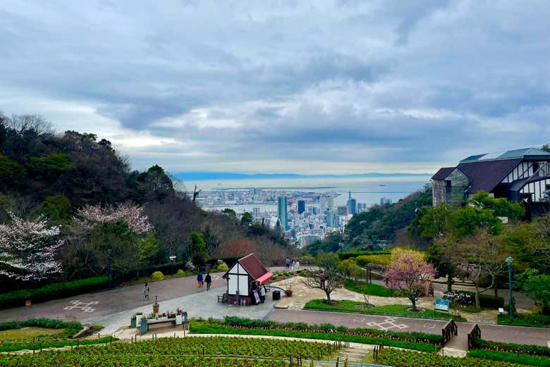 Pasearemos por las 16 hectáreas del jardín botánico