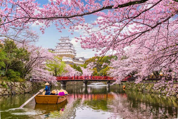 Private Tour of Kobe