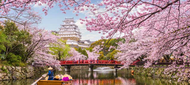 Tour privado por Kōbe y Himeji