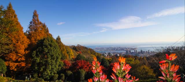 Tour por Kōbe y visita al Jardín de Hierbas Nunobiki