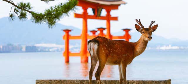 Ferry a Miyajima + Ingresso de Itsukushima