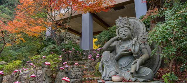 Tour privado por Miyajima con guía en español
