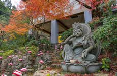 Tour privado por Miyajima con guía en español